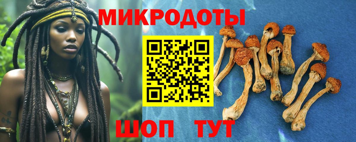 Псилоцибиновые грибы GOLDEN TEACHER Ростов-на-Дону